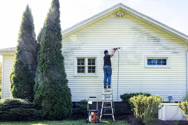 Best Residential Exterior Washing  in USA